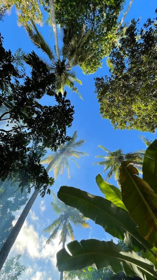 Tropical Sunday Bungalow - Surf And Stay Selong Belanak Exteriér fotografie